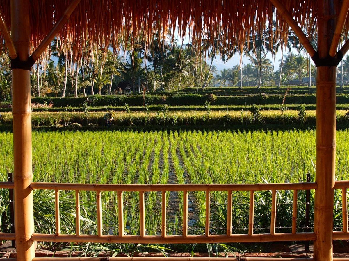 Hotel Les Rizieres Lombok - Tetebatu Exterior foto